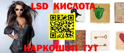 крисы Кандалакша