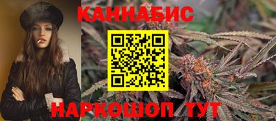 крисы Кандалакша
