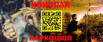 крисы Кандалакша