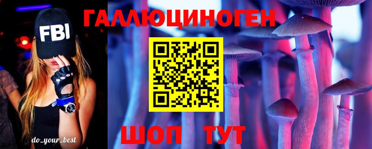 Кстово  Галлюциногенные грибы GOLDEN TEACHER  Вход с VPN 